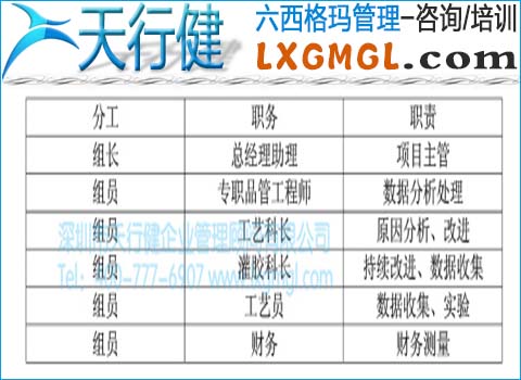 項目團隊成員分工
