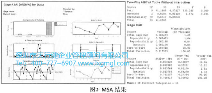 MSA結果