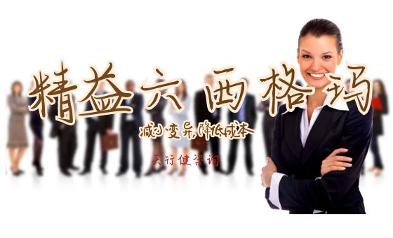 精益六西格瑪在方法、技術(shù)層面的實(shí)施