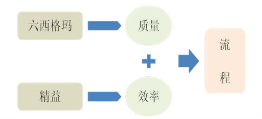 精益六西格瑪?shù)母拍睢⑻卣骱屯七M(jìn)方法