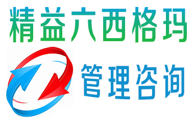 對一家保險公司實(shí)施精益六西格瑪?shù)囊恍┯^察